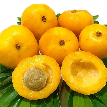 Uvaia