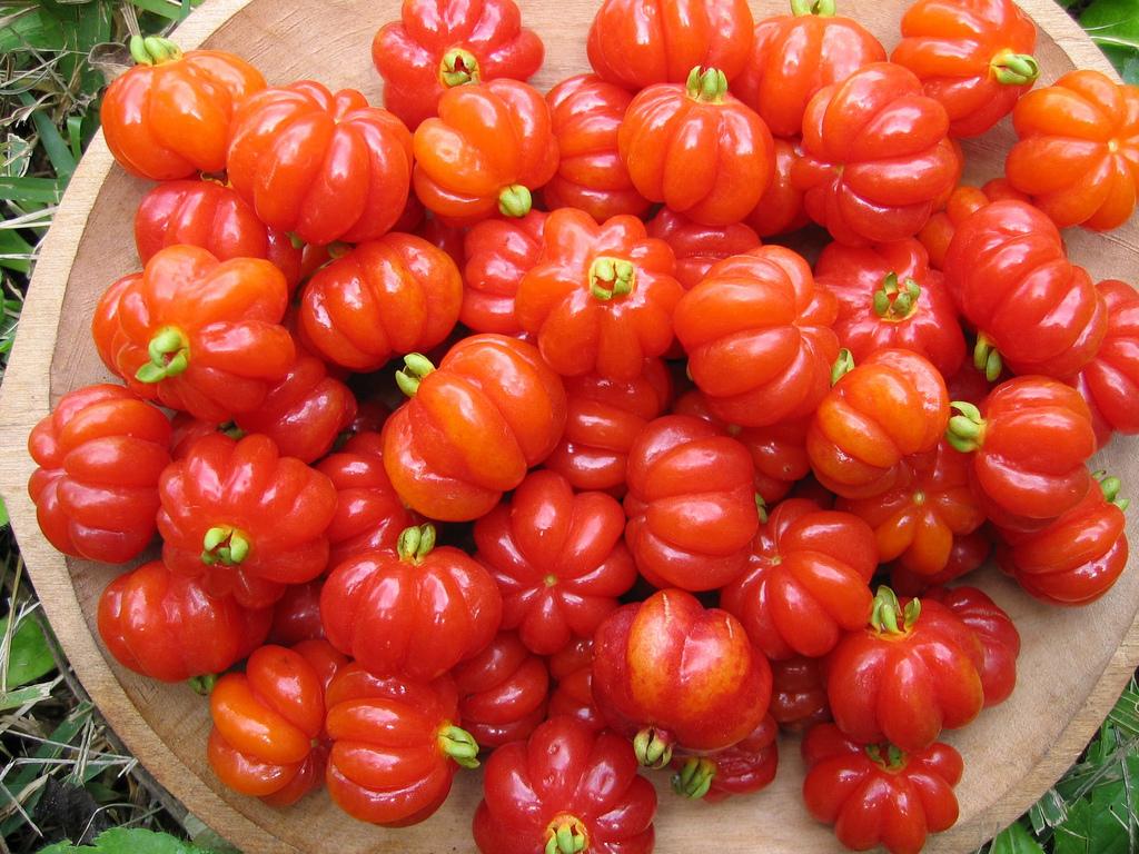 Pitanga