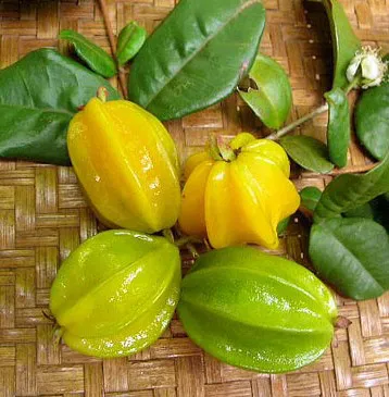 Pitangatuba