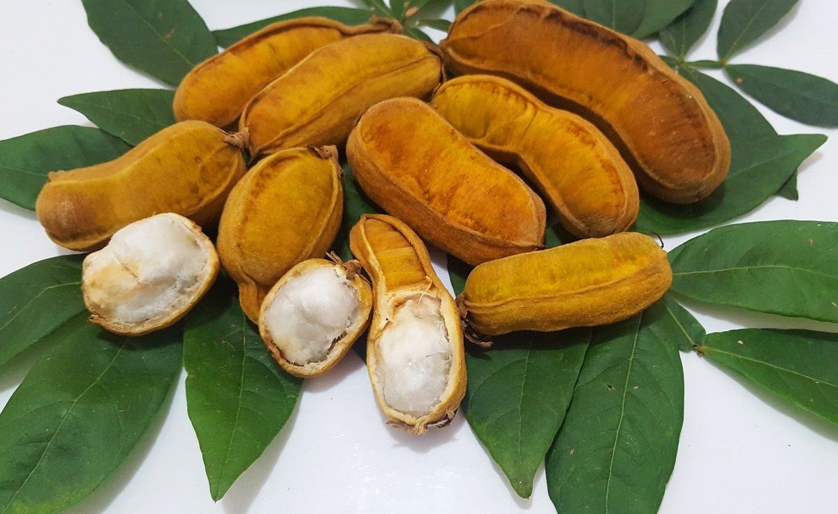 Ingá